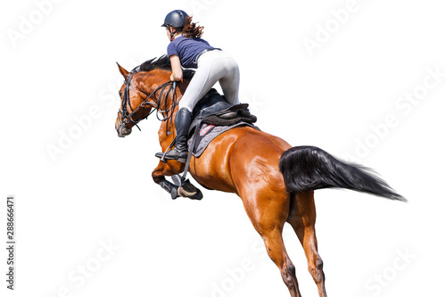 Female jumping horse rider isolated on white