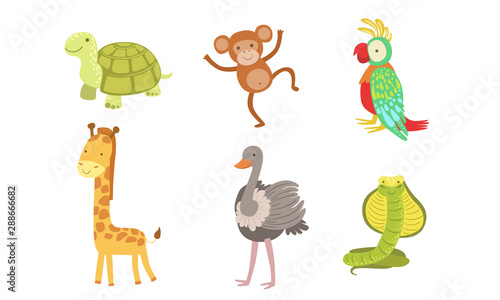 Cute African Animals Set, Turtle, Monkey, Parrot, Giraffe, Ostrich, Snake Vector Illustration © topvectors