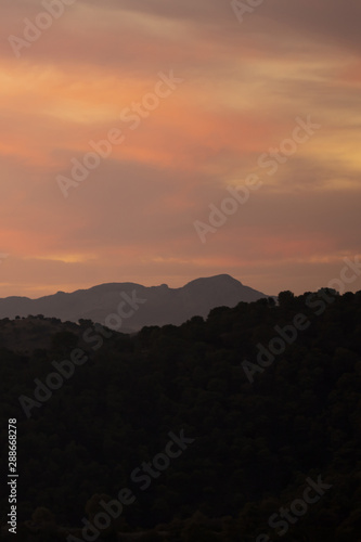 Wallpaper Mural Mountains and forest with beautiful sun Torontodigital.ca