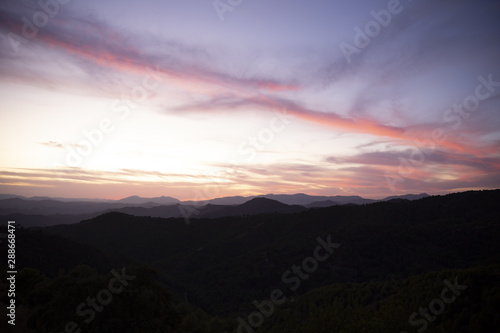 Landscape of a beautiful forest