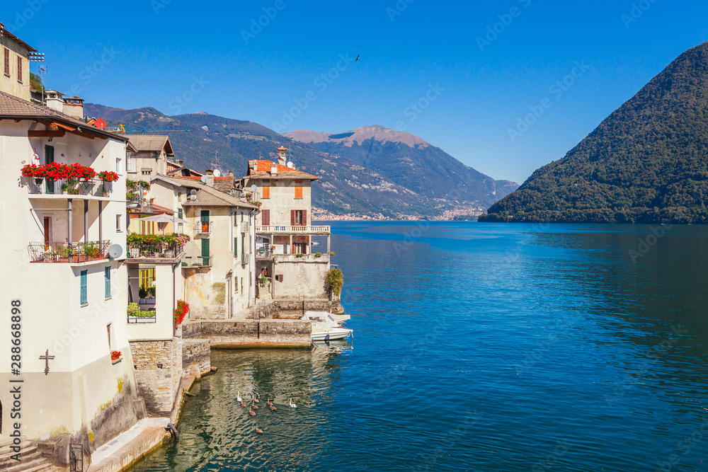 Panorama landscape on beatiful Lake Como in Brienno, Lombardy, Italy. Scenic small town with traditional houses and clear blue water. Summer tourist vacation on rich resort with harbour. Nice swans