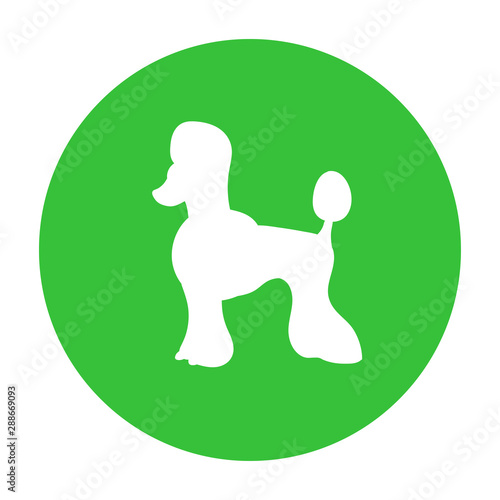 Dog friendly sign. White silhouette of dog on green circle. Vector. Breed poodle.