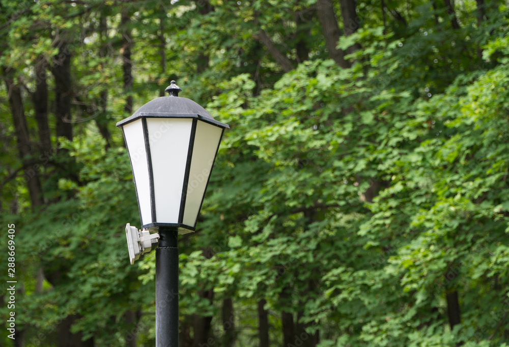 lamppost on the background of trees in the Park