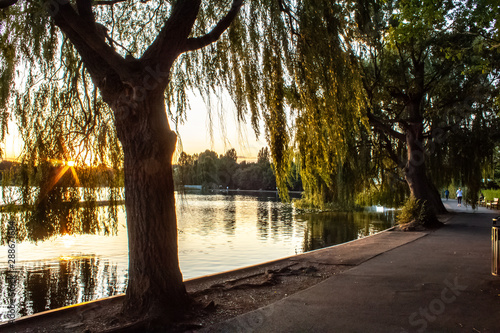 Foto sunset by the lake in Wimbledon, London