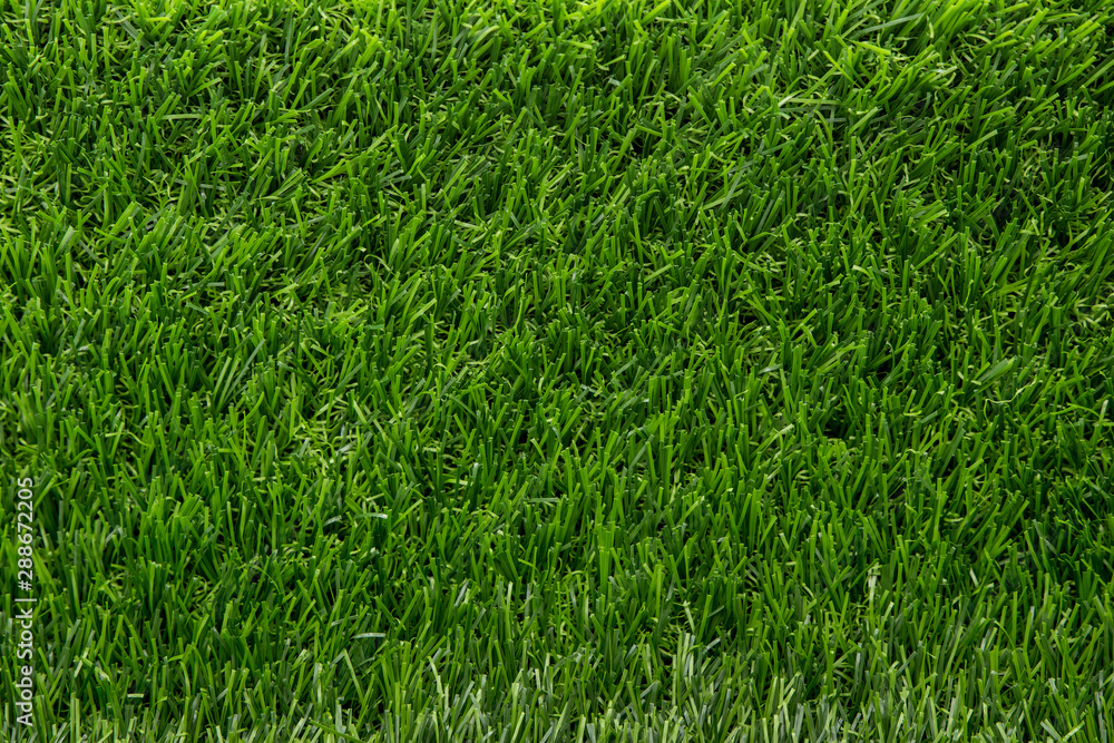 background of green grass background of green grass