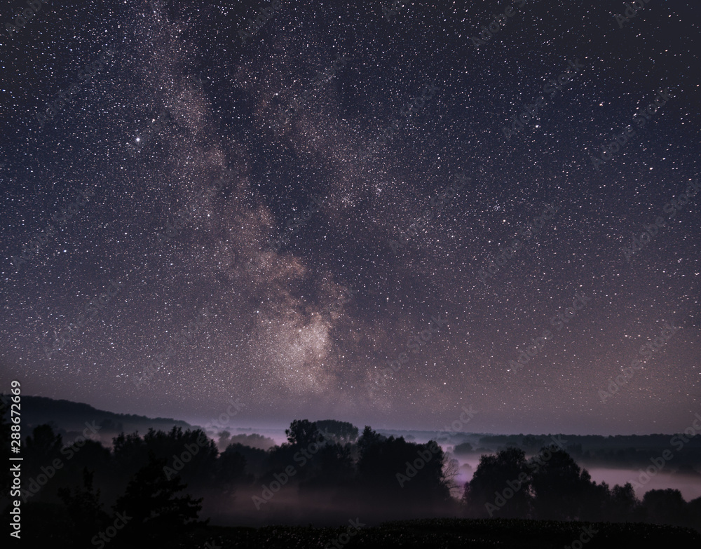 Milky Way over forest, summer night with fog and milky way 