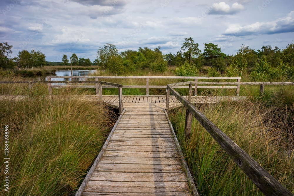 Pietzmoor bei Schneverdingen in der Lüneburger Heide