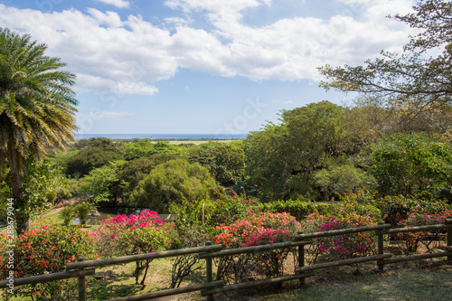 summer landscape african savannah in Mauritius