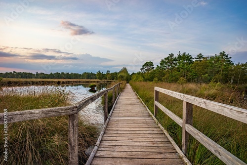 Pietzmoor bei Schneverdingen in der L  neburger Heide