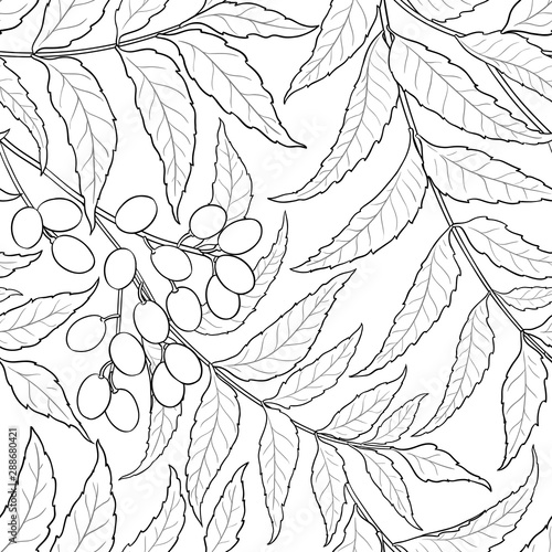 neem vector pattern