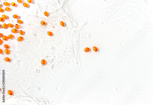 Organic sea buckthorn berries in water on the white background.  Top view photo