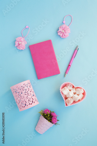 Flat lay girly, pale pink items for planning, notepads, pens, office work or working at home on her laptop, on the pale blue background, with place for labels. Concept Desk.