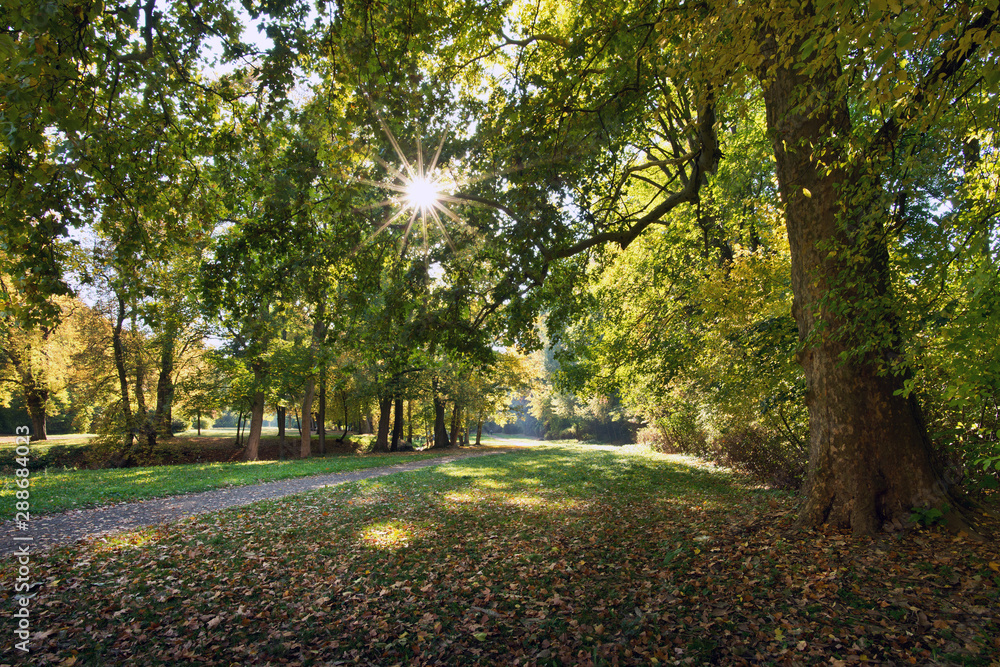 Autumn landscape with sun and sun beams Autumn landscape with sun and sun beams