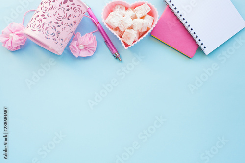 Flat lay girly, pale pink items for planning, notepads, pens, office work or working at home on her laptop, on the pale blue background, with place for labels. Concept Desk.