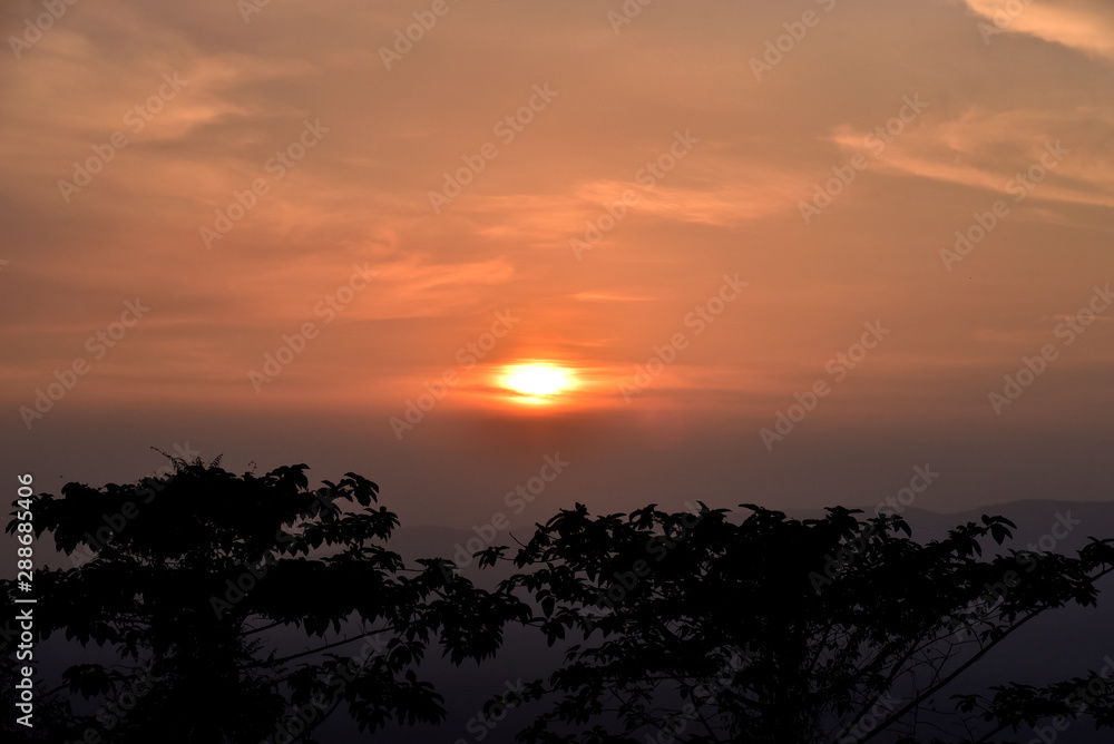 Landscape view of sunset with silluate of trees