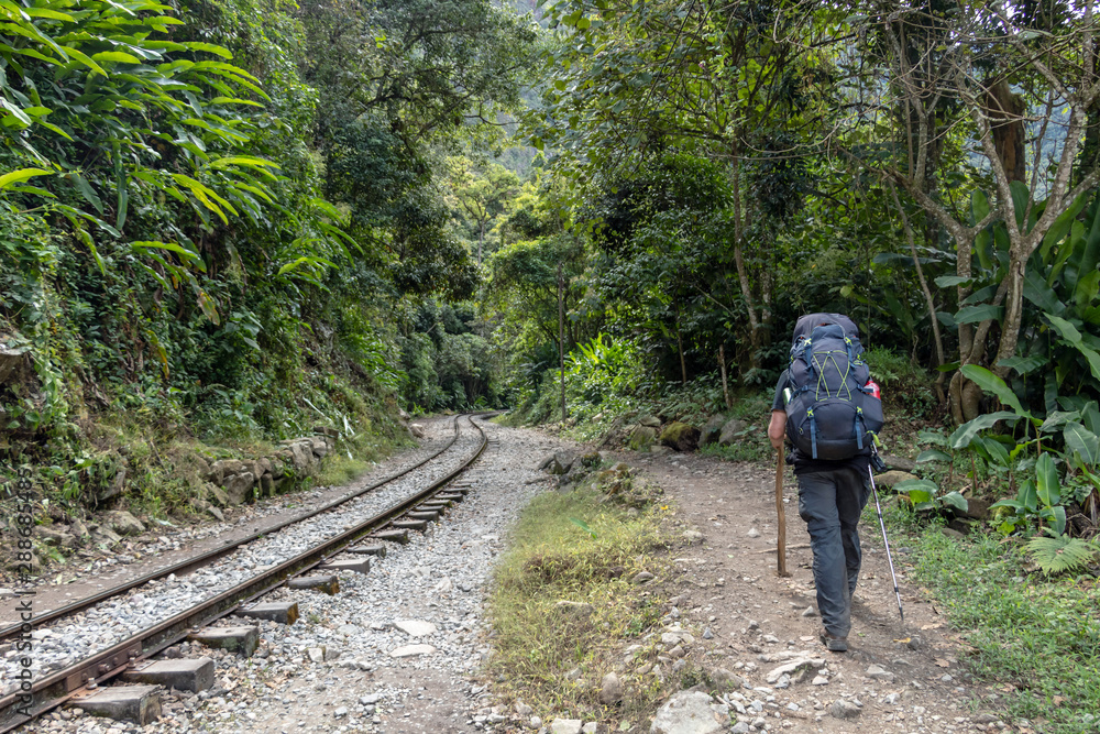 Back view of male hiker with backpack. Tourist man hiking along railroad to Machu Picchu, Peru Back view of male hiker with backpack. Tourist man hiking along railroad to Machu Picchu, Peru