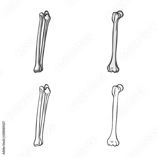 Vector illustration of medicine and clinic icon. Set of medicine and medical vector icon for stock.