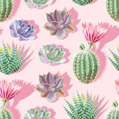 Papier peint photo Pastel patrons Cactus succulentes motif botanique détaillé  © olga_igorevna