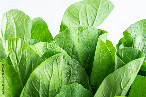 Fresh green cabbage leaves closeup on white background