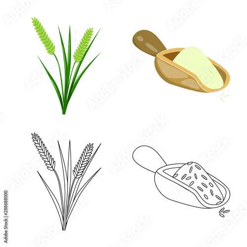 Vector illustration of crop and ecological icon. Collection of crop and cooking vector icon for stock.