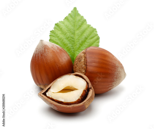 Hazelnuts and leaf isolated on white background