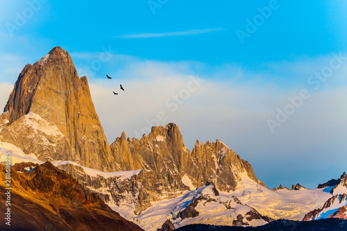 Huge Andean condors fly photo