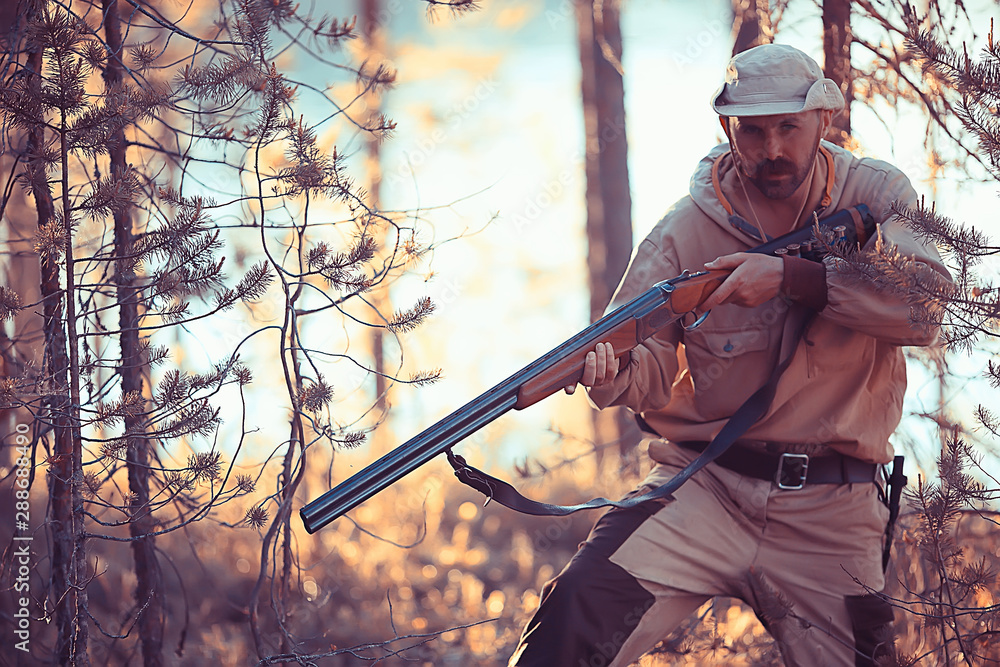 man goes hunting forest summer / landscape in the forest, huntsman with a hunting rifle hunts man goes hunting forest summer / landscape in the forest, huntsman with a hunting rifle hunts
