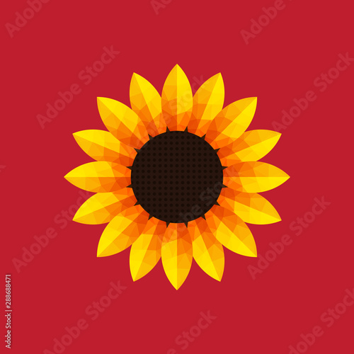 Sunflower icon on red background