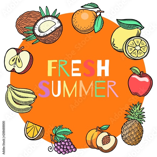 Summer fruits hand drawn vector illustration. Fruity orange composition. Watermelon and pear, bananas, coconut with grapefruit, orange, and pineapple summer frame.