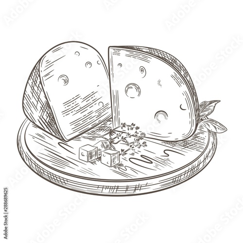 Cheese lies on a wooden cutting board. Vector retro illustration.