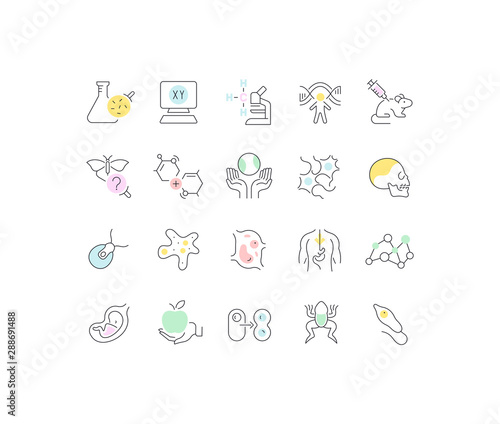 Set Vector Line Icons of Biology.