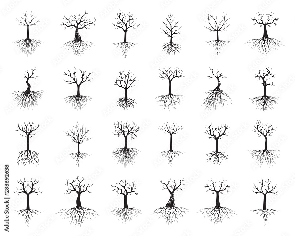 Set of Naked Trees on white background. Vector Illustration and concept pictogram. Set of Naked Trees on white background. Vector Illustration and concept pictogram.