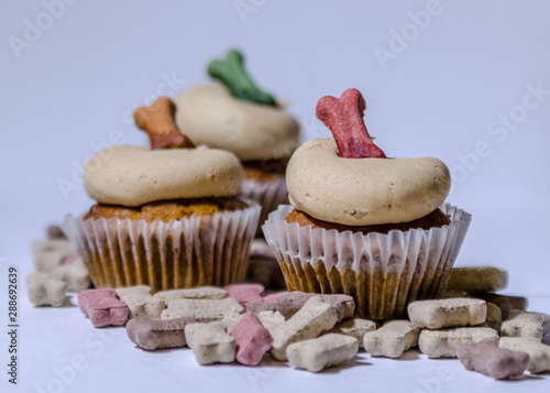 Dog Treat Baked Cup Cakes Bones Frosting