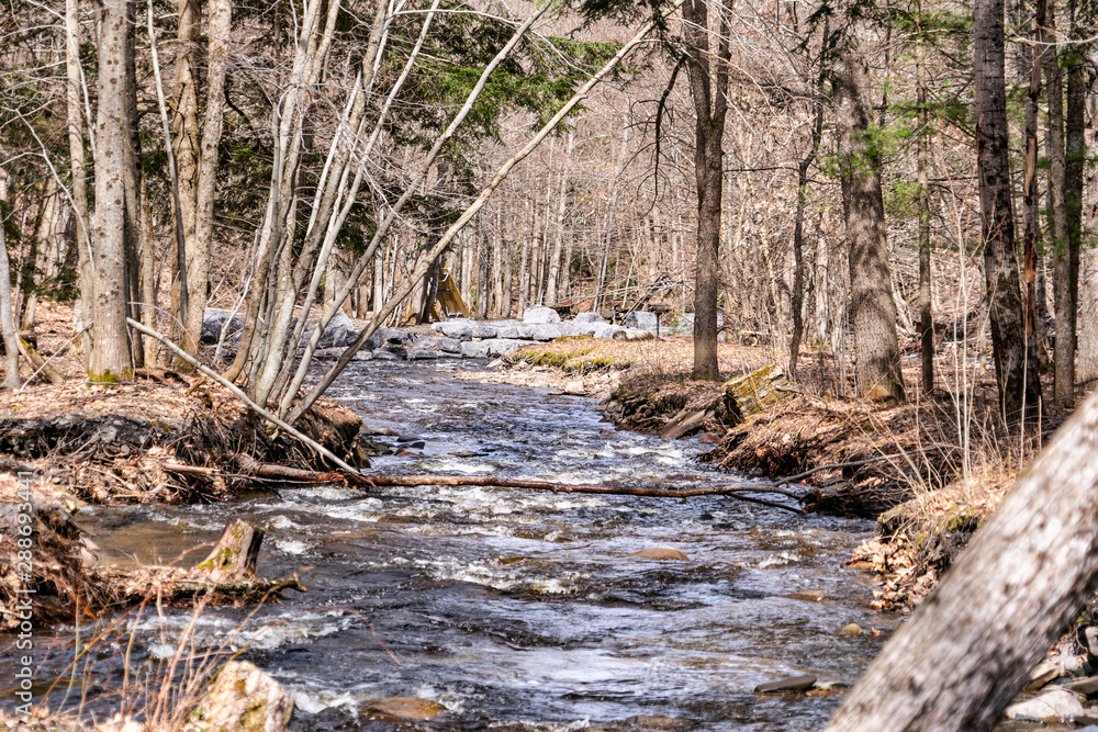 Nature Trees Stream Creek Water Summer Autumn Nature Trees Stream Creek Water Summer Autumn