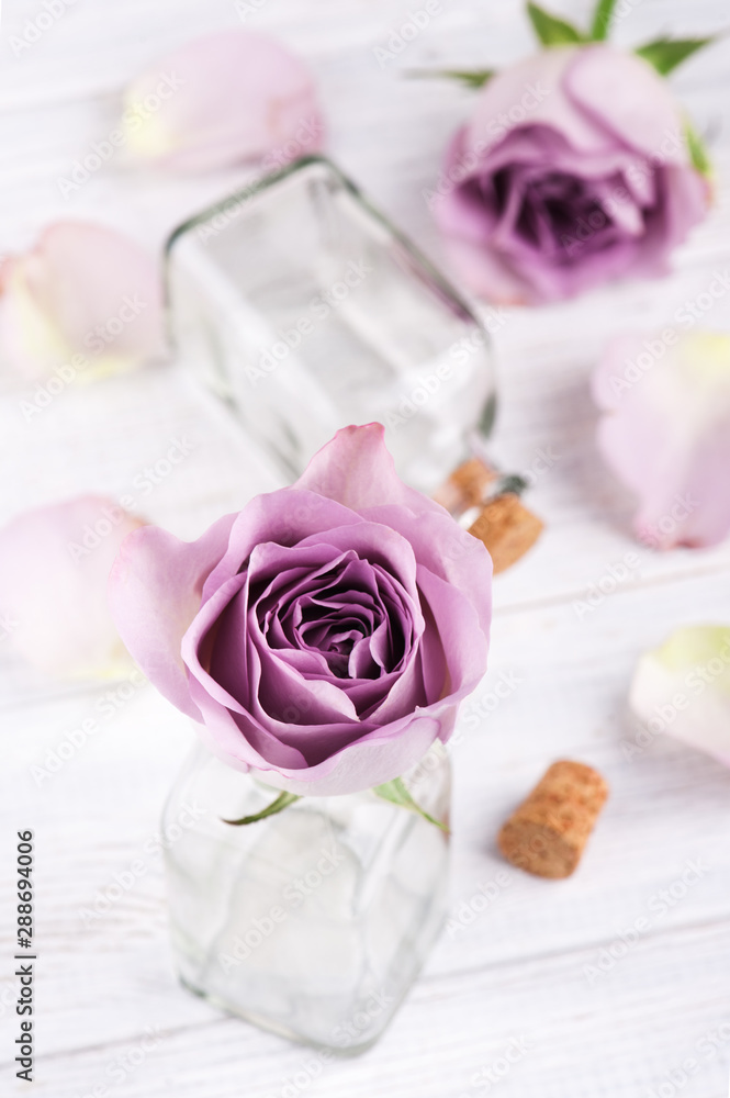 Pink rose in bottle