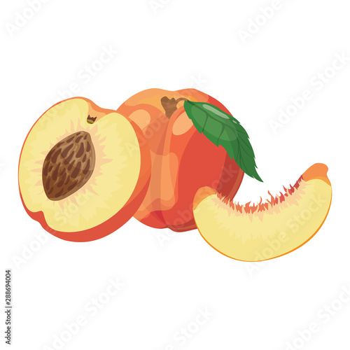 Cartoon peach. Illustration of a peach in a cut. A juicy summer fruit on a white background. Apricot. Useful vitamin food.