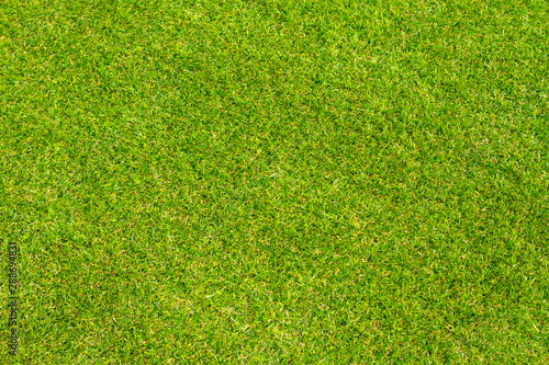 Short cropped green lawn seen from above