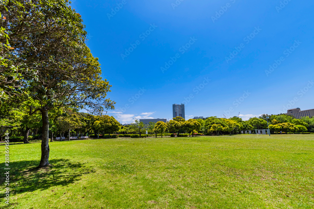 幕張海浜公園の風景 幕張海浜公園の風景