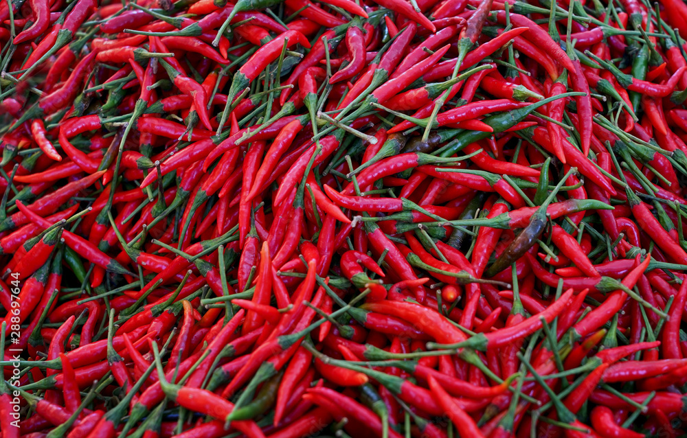 Frische kleine rote Chilischoten aus Thailand