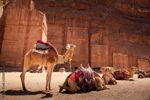 Cuadro en lienzo view form red rock and stone carving in Petra city - Wadi Musa - amman - Jordan