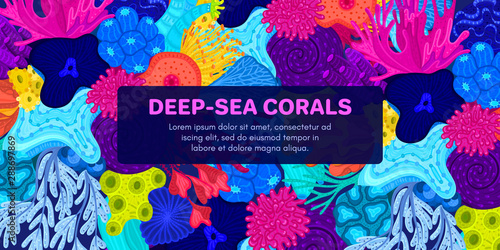 Vector composition of corals. Background with colorful sea or ocean life. Template for cover, invitation, banner, brochure, flyer, label, header. Advertising of water park, aquarium, marine exhibition