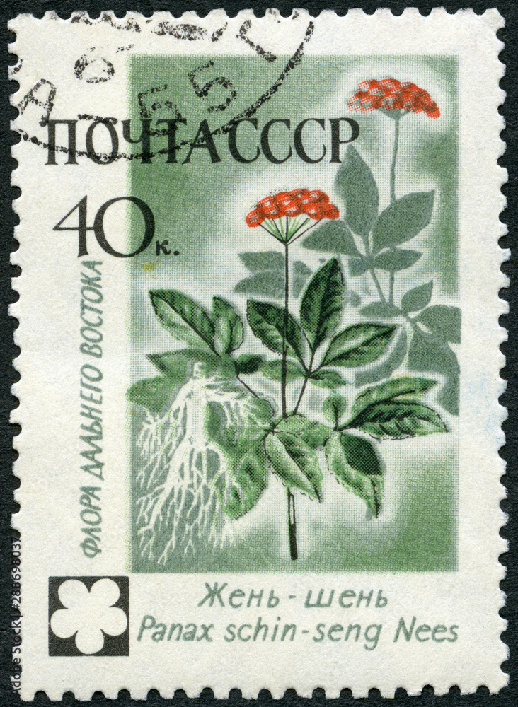 USSR - 1960: shows Ginseng, Asiatic Flowers USSR - 1960: shows Ginseng, Asiatic Flowers