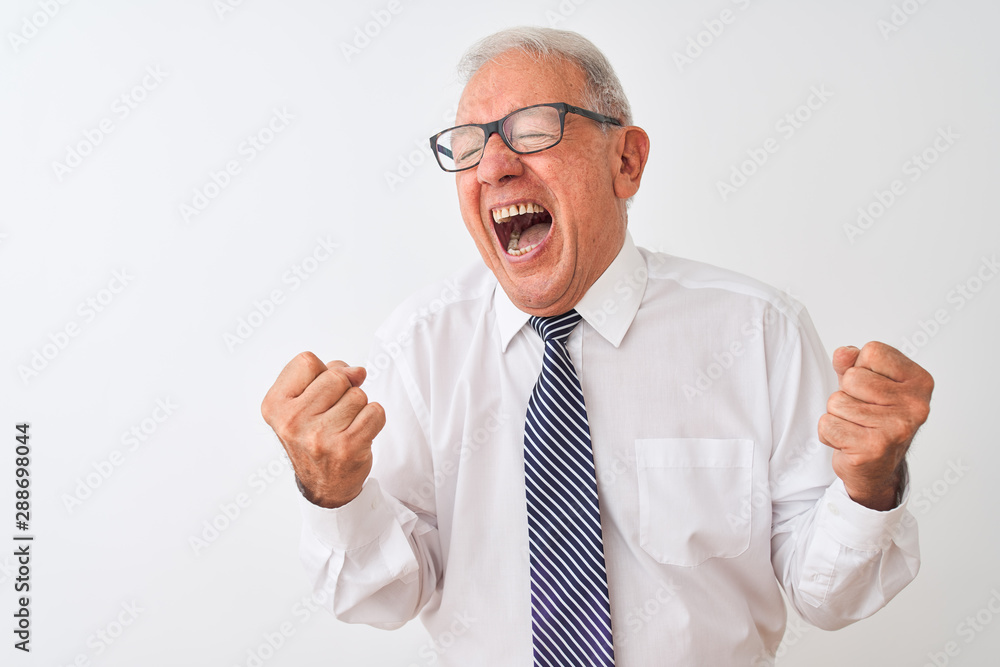 Senior grey-haired businessman wearing tie and glasses over isolated white background very happy and excited doing winner gesture with arms raised, smiling and screaming for success. Senior grey-haired businessman wearing tie and glasses over isolated white background very happy and excited doing winner gesture with arms raised, smiling and screaming for success.