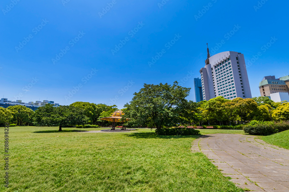 幕張海浜公園の風景