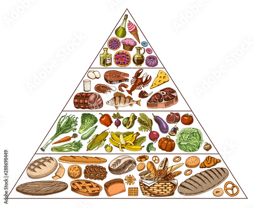 Healthy food plan pyramid. Infographics for Balanced Diet percentage. Lifestyle concept. Ingredients for meal plan. Nutrition guide. Hand drawn in vintage style.