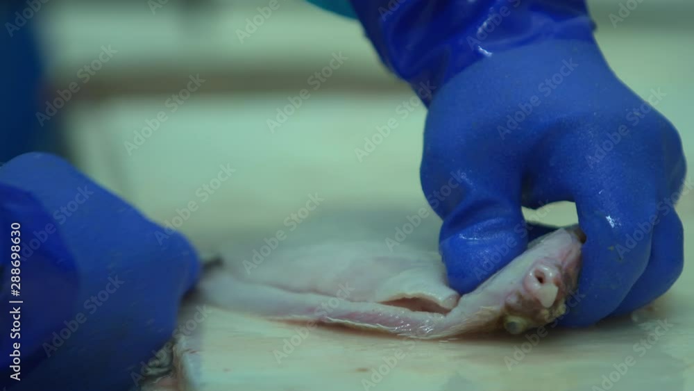 Worker removes fillet portion from fresh flat white fish close up knife Worker removes fillet portion from fresh flat white fish close up knife