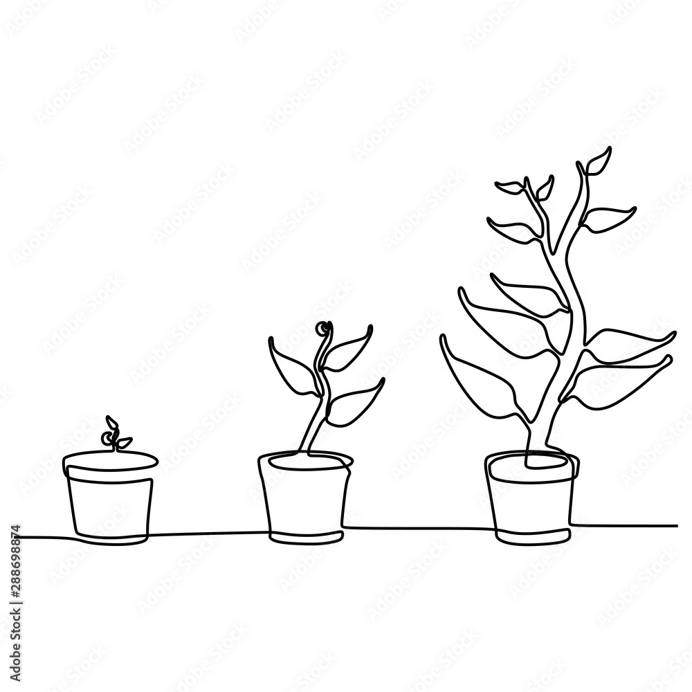 phase-of-plant-growing-continuous-one-line-drawing-minimalist-vector