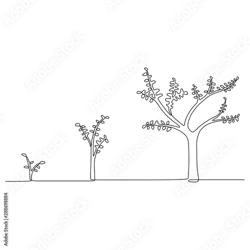 Phase of growing plant cont...