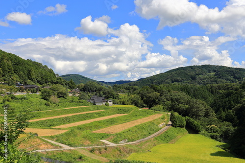 Rice terraces in Okayama, japn
