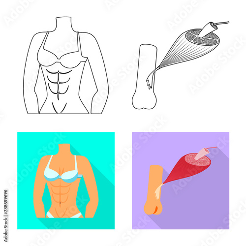 Vector illustration of fiber and muscular logo. Collection of fiber and body vector icon for stock.